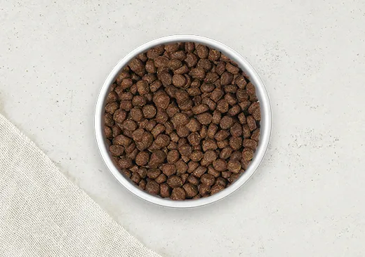 Dry Dog