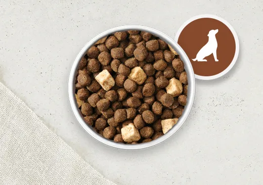 adult dog food
