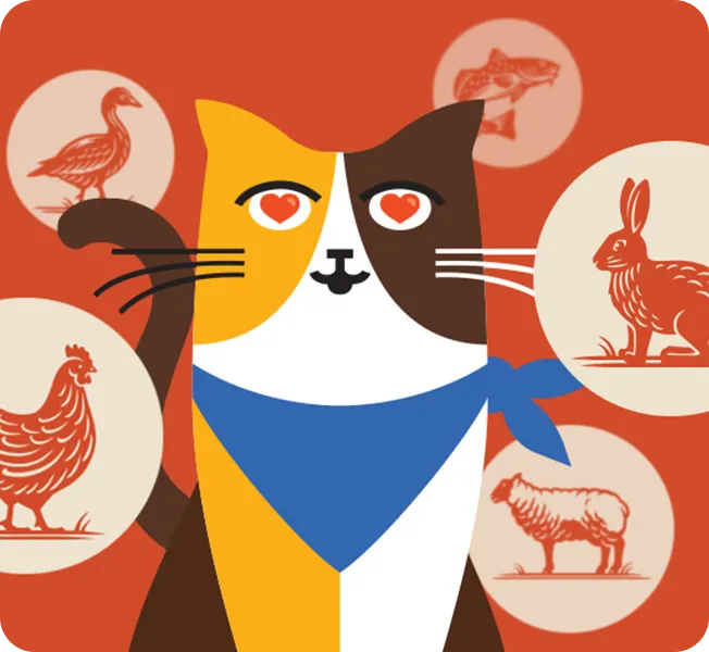 calico cat that is choosy