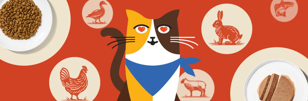 Merrick Purrfect Bistro cartoon calico cat with heart eyes as images of a chicken, rabbit, fish, lamb and duck appear in the background along with a plate of Purrfect Bistro dry cat food and another plate with pate.