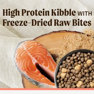 A top down photo shows a raw piece of salmon, brown rice, and a bowl of kibble sitting on a wooden serving board. Text above reads "high protein kibble with freeze-dried raw bites"