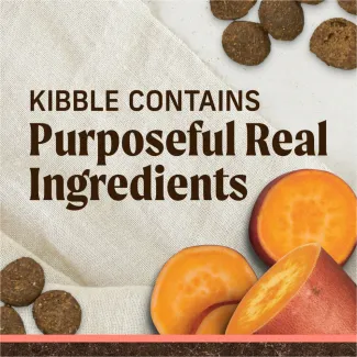 Close-up photo of kibble and sliced sweet potato; Text reads "Kibble contains purposesful real ingredients"