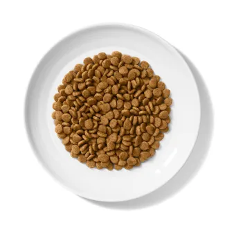 Merrick Purrfect Bistro Grain Free Wild-Caught Ocean Whitefish and Spinach Recipe Dry Cat Food product. 