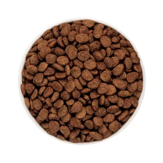 Merrick Kitchen Comforts Real Beef and Brown Rice Recipe kibble in a white bowl.