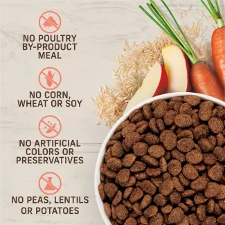 No poultry by product, corn, wheat or soy, artificial colors or preservatives, peas, lentils or potatoes.