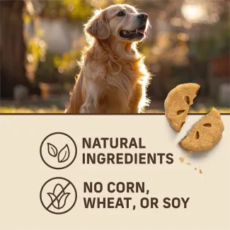 A golden retriever and a Merrick Oven Baked Grammy's Pot Pie Dog Treat above Natural Ingredients and No Corn, Wheat or Soy.
