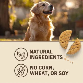 A golden retriever and a Merrick Oven Baked Paw'some P'nut Butter Cookie Dog Treat above Natural Ingredients and No Corn, Wheat or Soy.