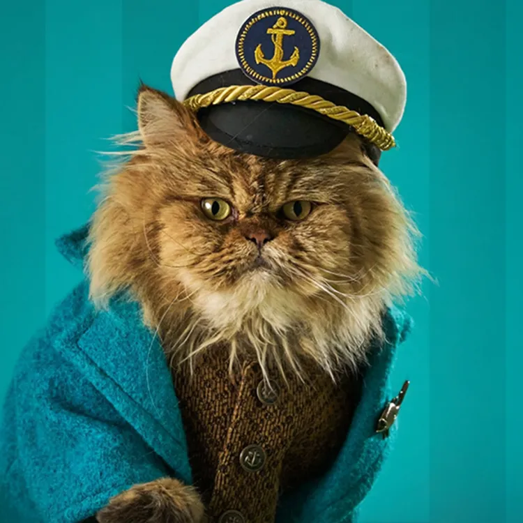 Merrick Purrfect Bistro cat in fisherman outfit